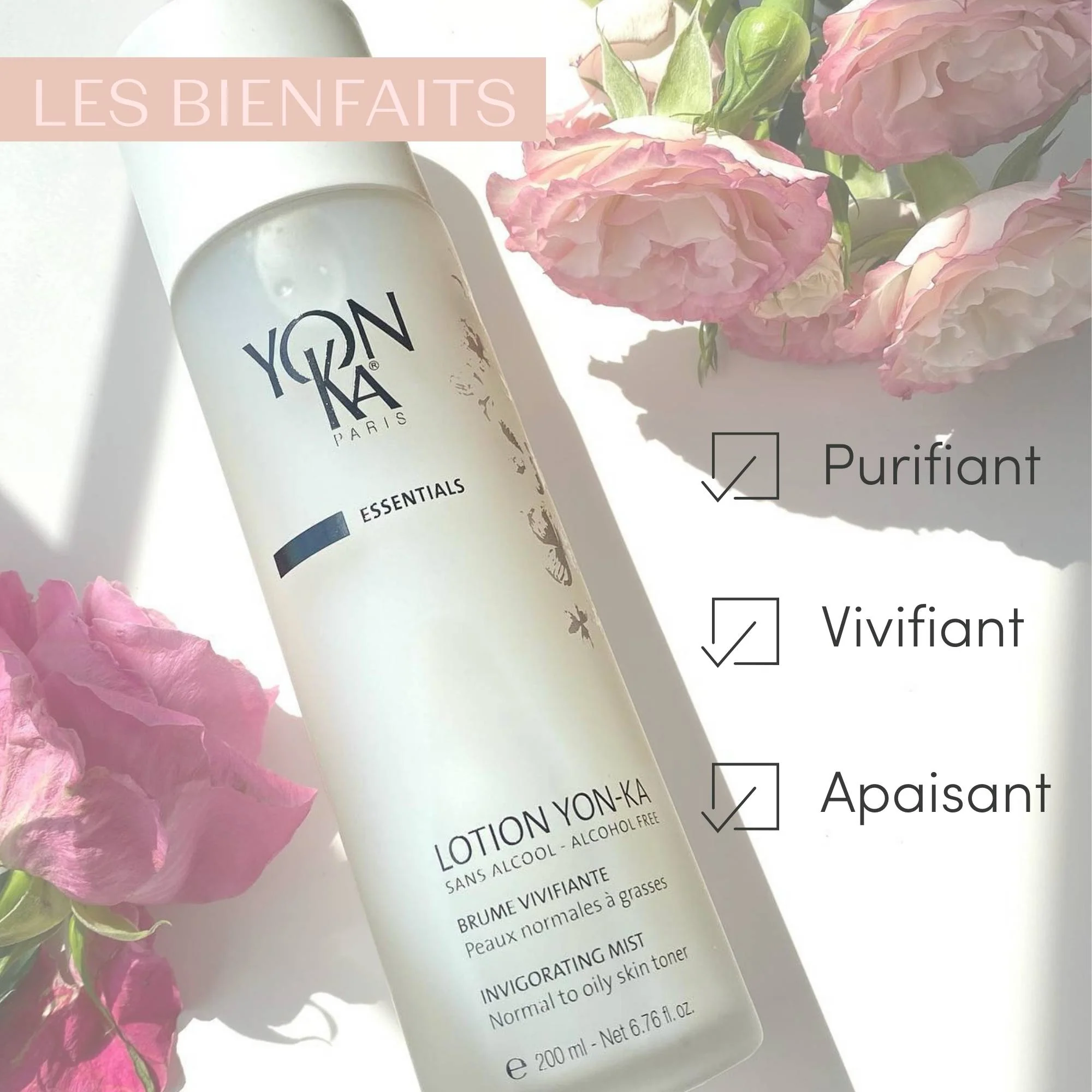 Cadeau Lotion PNG - Image 2