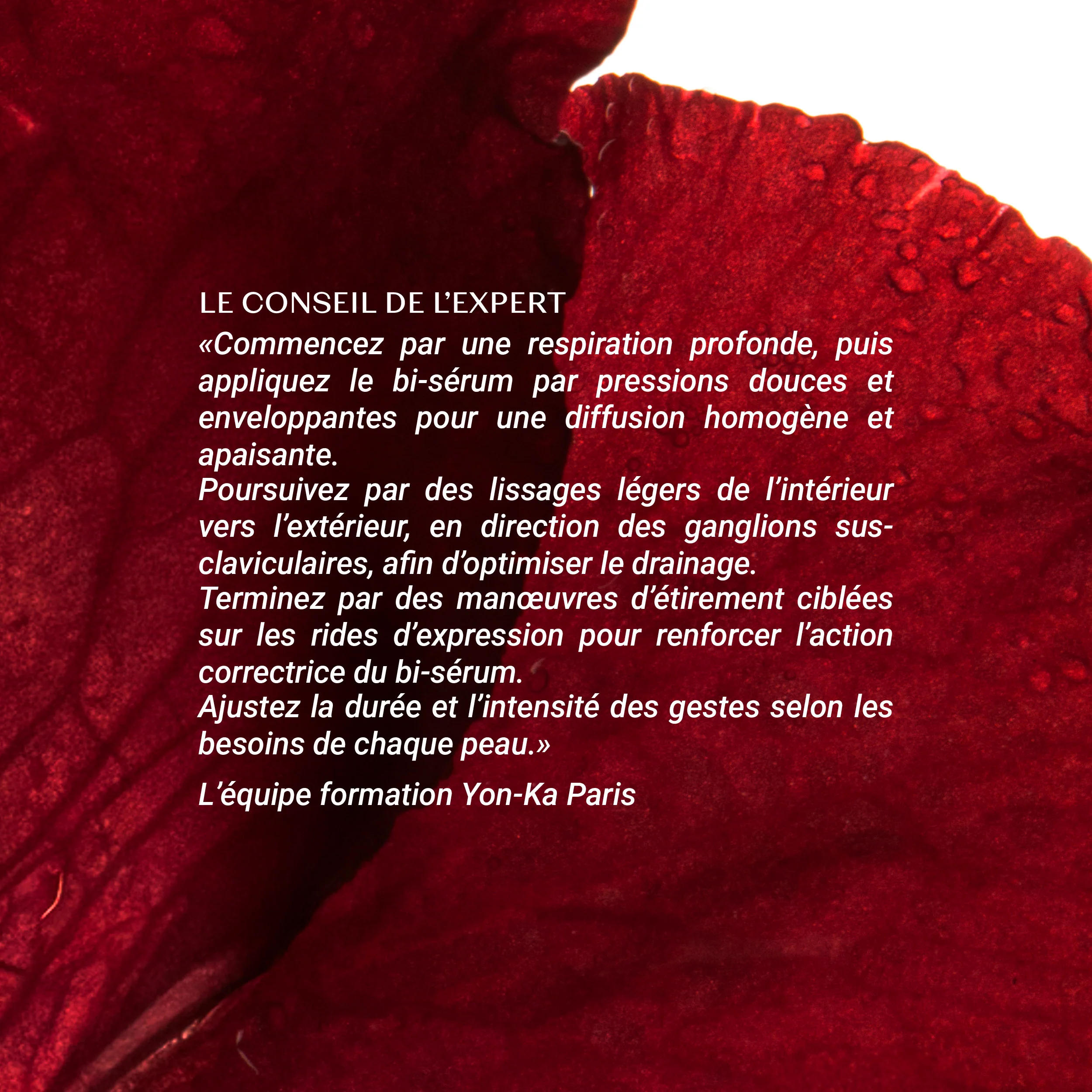 NOUVEAU Bi-Sérum Retinol-Like - Image 15
