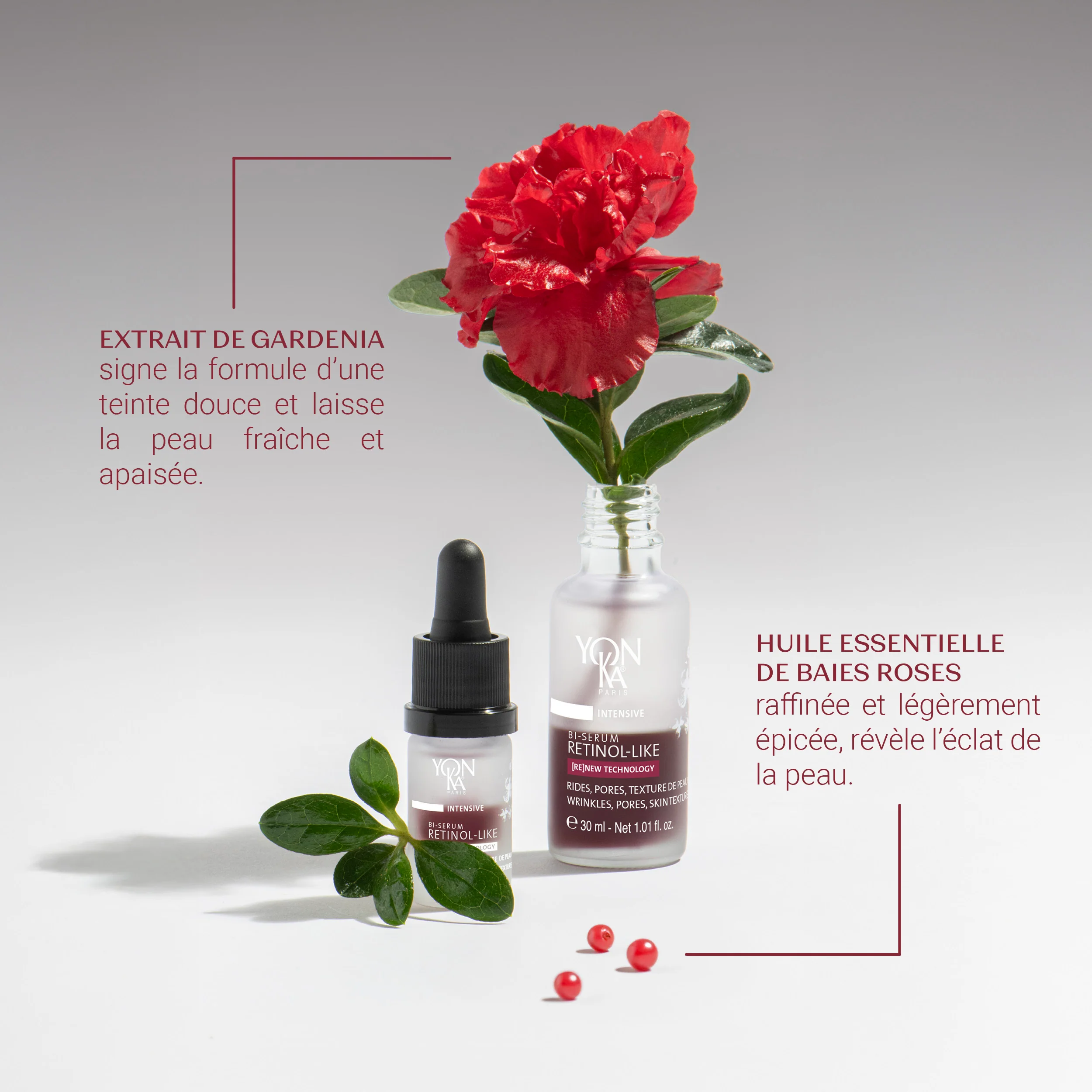 NOUVEAU Bi-Sérum Retinol-Like - Image 3