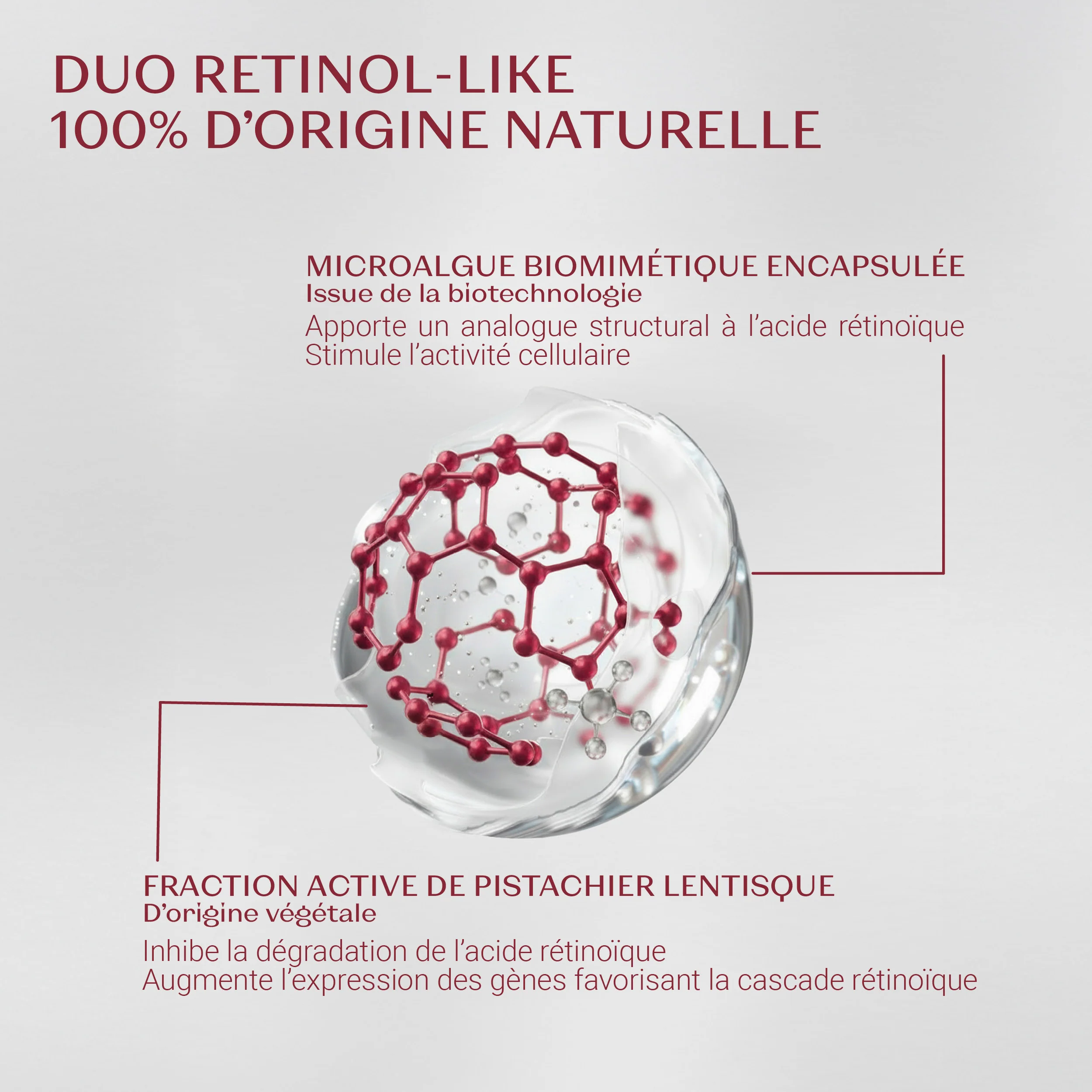 NOUVEAU Bi-Sérum Retinol-Like Format Voyage - Image 6