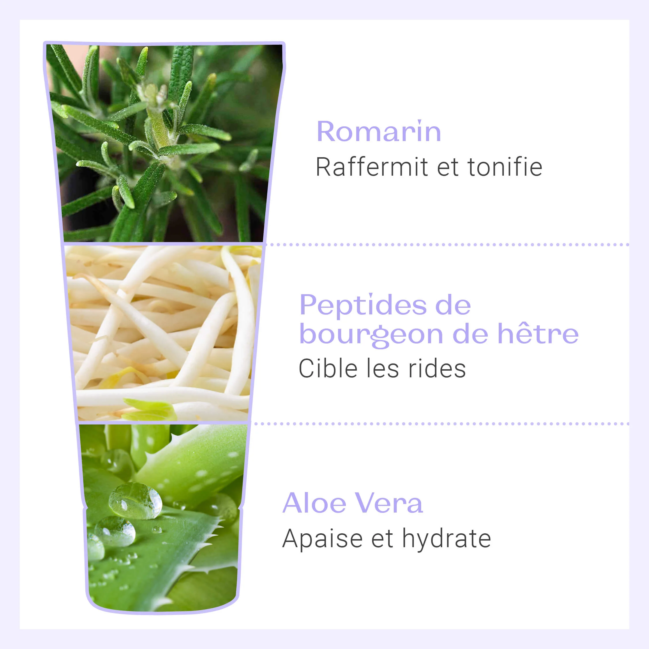 Phyto-Contour - Image 6