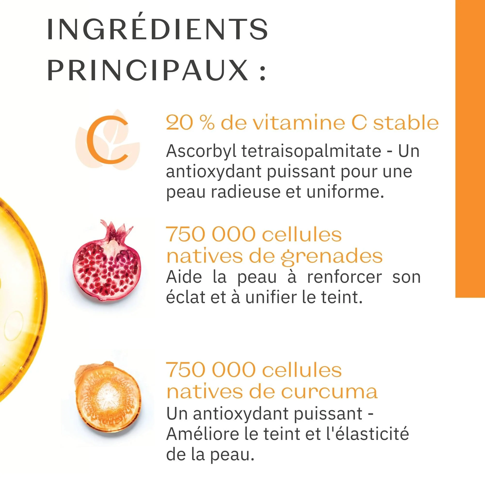 Sérum Vitamine C Format Voyage - Image 6